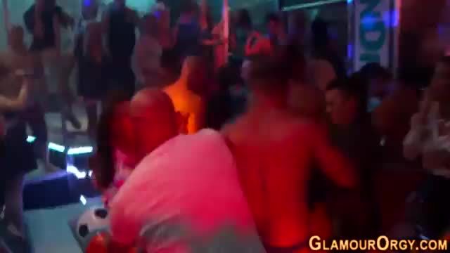 Party skanks sucking cock